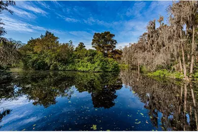 36750 US Highway 19 N #2177, Palm Harbor, FL 34684 - Photo 79