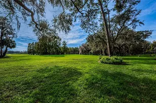 36750 US Hwy 19 N, Palm Harbor, FL 34684 - Photo 53