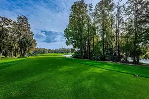 36750 US Hwy 19 N, Palm Harbor, FL 34684 - Photo 69