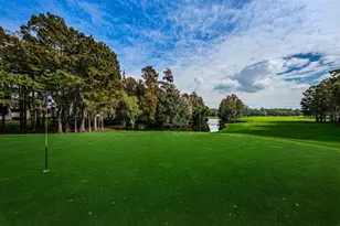 36750 US Hwy 19 N, Palm Harbor, FL 34684 - Photo 67