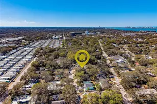 1256 New York Ave, Dunedin, FL 34698 - Photo 67