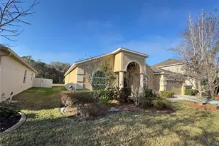 10756 Breaking Rocks Dr, Tampa, FL 33647 - Photo 3
