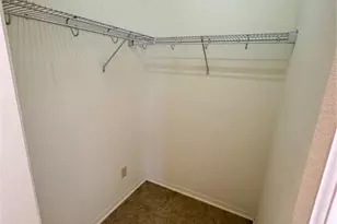 10756 Breaking Rocks Dr, Tampa, FL 33647 - Photo 17