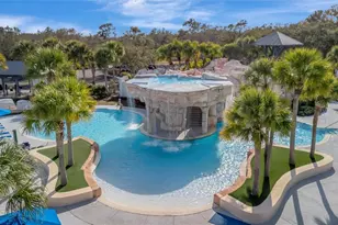 15616 Starling Water Dr, Lithia, FL 33547 - Photo 75