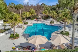 15616 Starling Water Dr, Lithia, FL 33547 - Photo 71