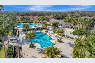 15616 Starling Water Drive, Lithia, FL 33547 - Photo 67