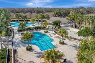 15616 Starling Water Dr, Lithia, FL 33547 - Photo 67