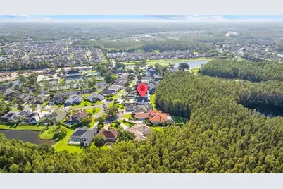 18756 Wimbledon Circle, Lutz, FL 33558 - Photo 61