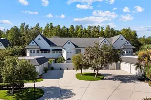 18756 Wimbledon Cir, Lutz, FL 33558 - Photo 65