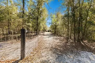 775 SW Choctaw Ave, Fort White, FL 32038 - Photo 3