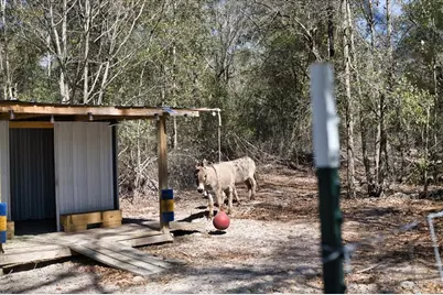 771 SW Choctaw Avenue, Fort White, FL 32038 - Photo 39