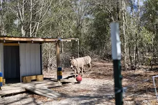 771 SW Choctaw Ave, Fort White, FL 32038 - Photo 39