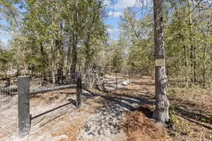 771 SW Choctaw Ave, Fort White, FL 32038 - Photo 49