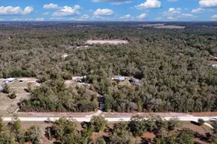 771 SW Choctaw Ave, Fort White, FL 32038 - Photo 97