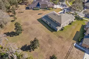 16637 Ashton Green Dr, Lutz, FL 33558 - Photo 47