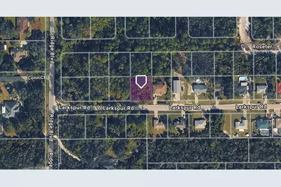 Larkspur Road, Deland, FL 32724 - Photo 1
