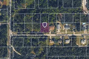 Larkspur Rd, Deland, FL 32724 - Photo 1