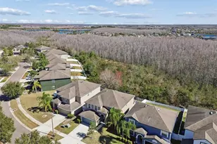 3620 Lefays Point, Land O Lakes, FL 34638 - Photo 41