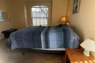 387 Tavernier Cir, Oldsmar, FL 34677 - Photo 37