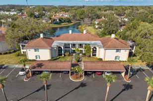 10336 Carrollwood Ln, Tampa, FL 33618 - Photo 33