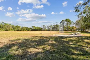 8626 Boysenberry Dr, Tampa, FL 33635 - Photo 45