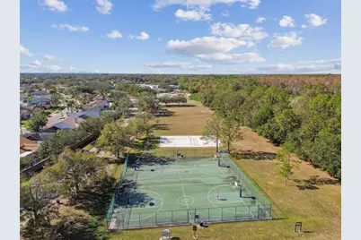 8626 Boysenberry Drive, Tampa, FL 33635 - Photo 53