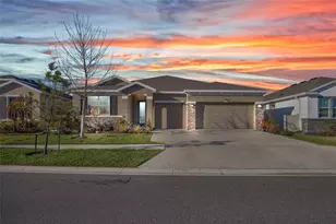 32289 Conchshell Sail St, Wesley Chapel, FL 33545 - Photo 1