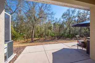 15855 Fishhawk View Dr, Lithia, FL 33547 - Photo 21