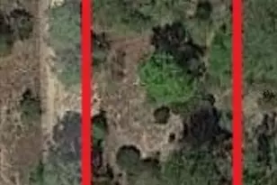 326 Elm Trail, Interlachen, FL 32148 - Photo 1