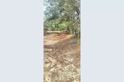 326 Elm Trail, Interlachen, FL 32148 - Photo 3