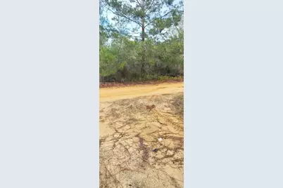 326 Elm Trail, Interlachen, FL 32148 - Photo 5