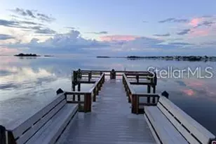 300 Woodette Dr, Dunedin, FL 34698 - Photo 29
