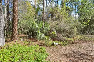 12508 Twin Branch Acres Rd, Tampa, FL 33626 - Photo 71