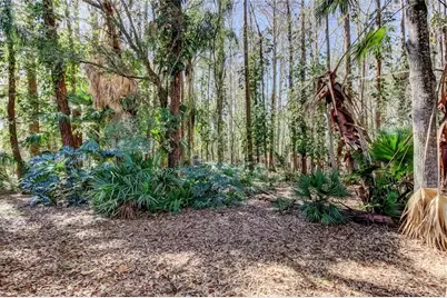 3020 Windmoor Drive, Palm Harbor, FL 34685 - Photo 7