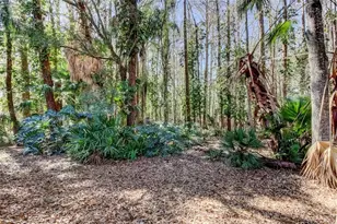 3020 Windmoor Dr, Palm Harbor, FL 34685 - Photo 7