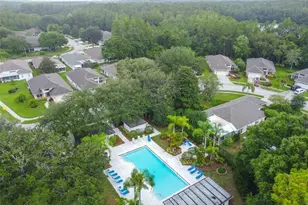 1129 Daleside Ln, New Port Richey, FL 34655 - Photo 39