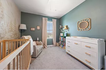 16176 Soft Fern Trace, Odessa, FL 33556 - Photo 33