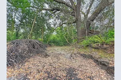 18469 Purple Creek Lane, Lutz, FL 33549 - Photo 15