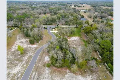 18469 Purple Creek Lane, Lutz, FL 33549 - Photo 27