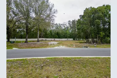 18469 Purple Creek Lane, Lutz, FL 33549 - Photo 23