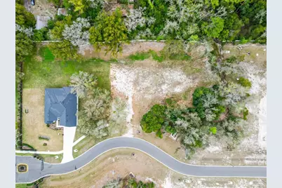 18469 Purple Creek Lane, Lutz, FL 33549 - Photo 21