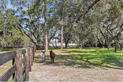 10101 Tarpon Springs Road, Odessa, FL 33556 - Photo 19