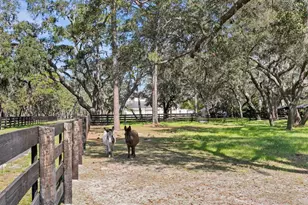 10101 Tarpon Springs Rd, Odessa, FL 33556 - Photo 19