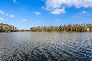 10101 Tarpon Springs Rd, Odessa, FL 33556 - Photo 37