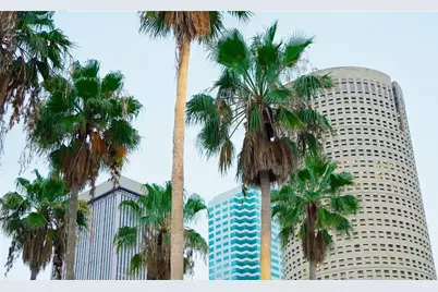 201 W Laurel Street #712, Tampa, FL 33602 - Photo 51