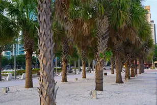 201 W Laurel St, Tampa, FL 33602 - Photo 41