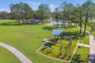 4801 Ridge Point Dr, Tampa, FL 33624 - Photo 49