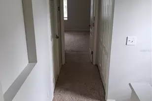 5870 Fishhawk Ridge Dr, Lithia, FL 33547 - Photo 19