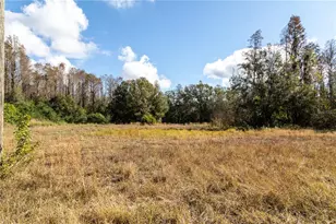 11560 Tarpon Springs, Odessa, FL 33556 - Photo 11