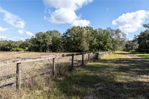 11560 Tarpon Springs, Odessa, FL 33556 - Photo 3